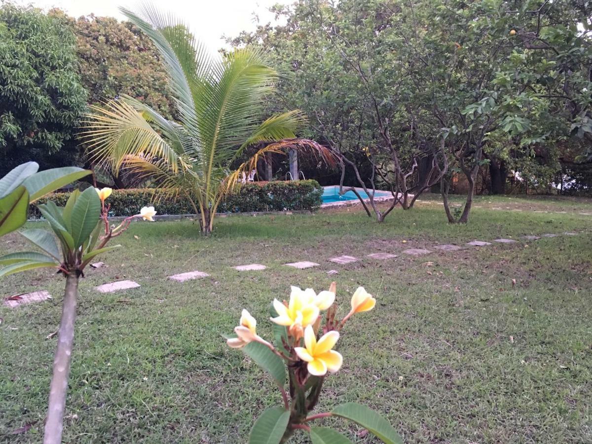 Native House With Beautiful Pool Villa Bagac Buitenkant foto